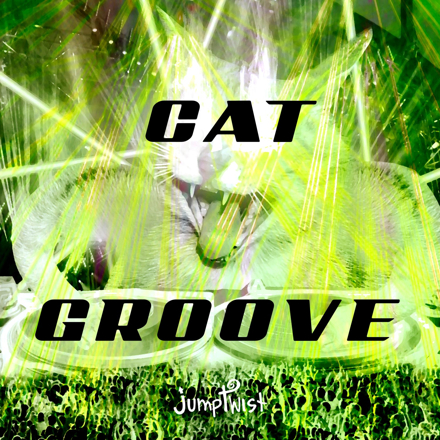 Cat Groove