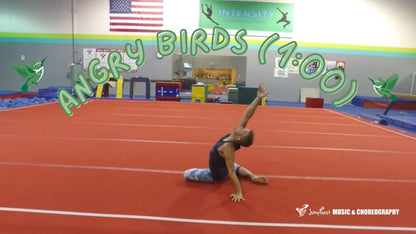 Angry Birds Floor Routine [1:00]