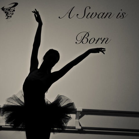 A Swan is Born